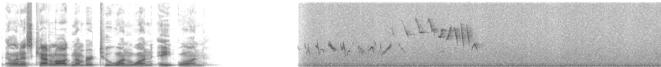 Northern Yellow Warbler - ML21181