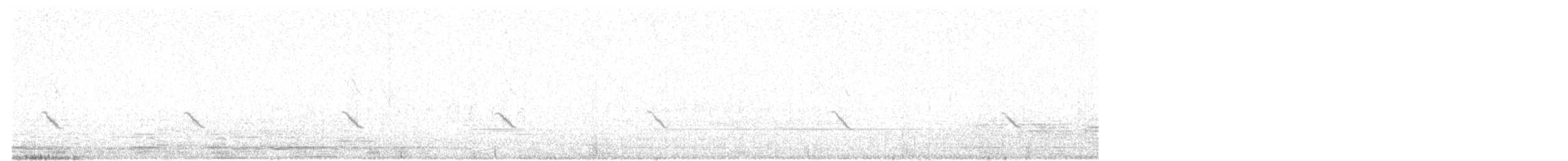 Kara Taşkuşu - ML211814011