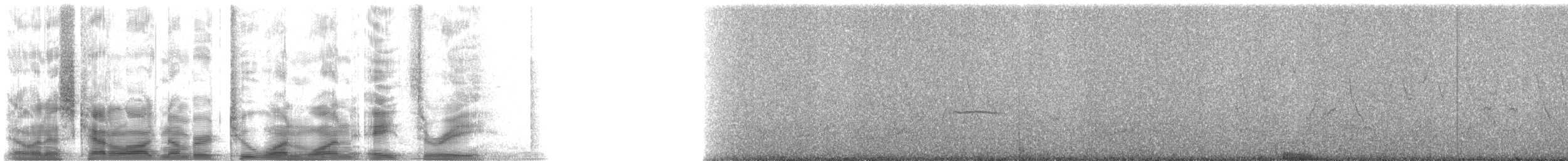 Canyon Towhee - ML21183