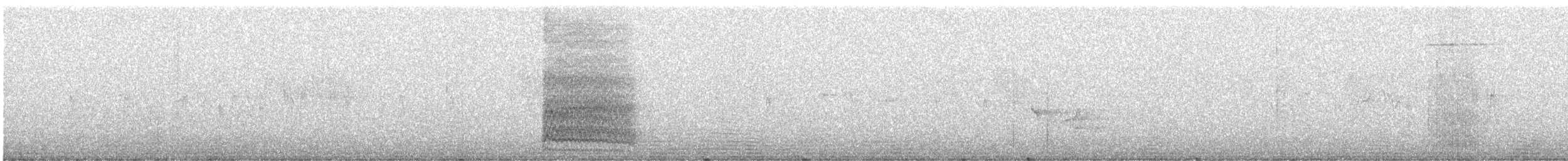 Slender-billed Oriole - ML211841931