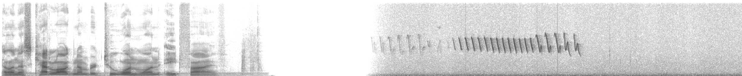 Lucy's Warbler - ML21185