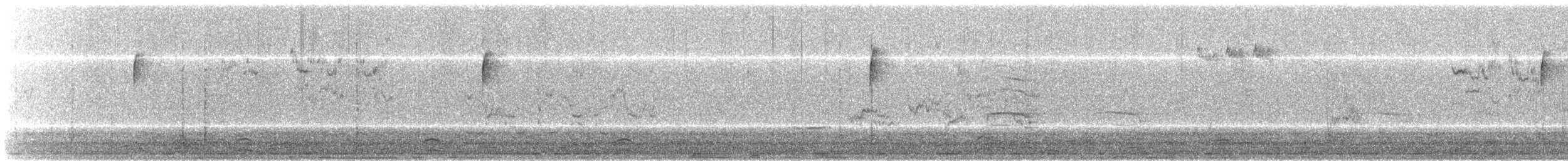 Hermit Thrush - ML211859851