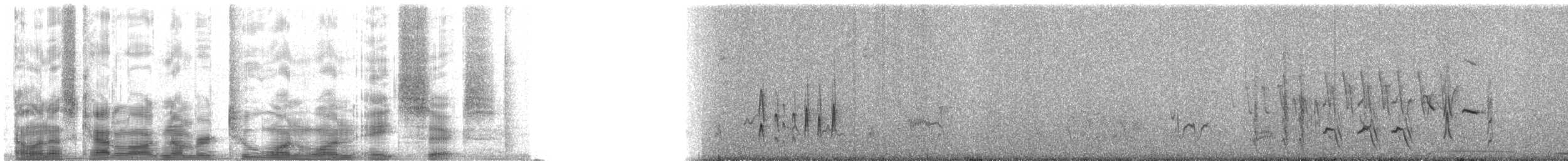 Schmalschnabel-Königstyrann - ML21186