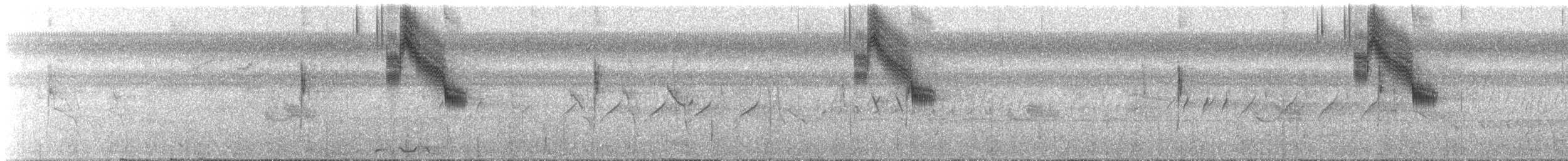 Blue-black Grassquit - ML21186831