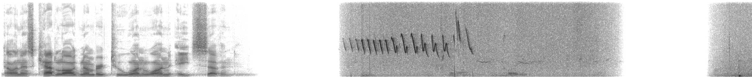 Northern Yellow Warbler - ML21187