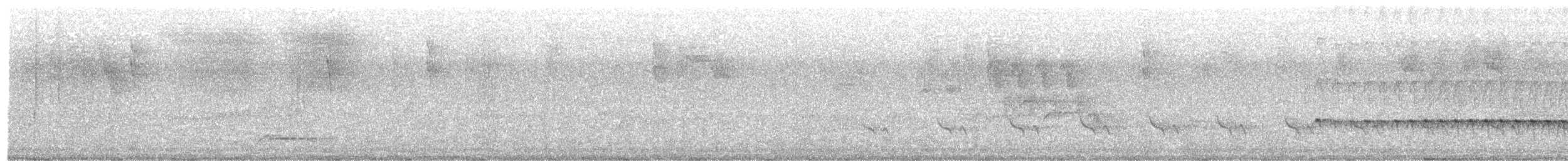 White-browed Antbird - ML211918691