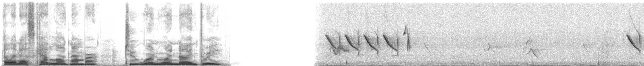 Yellow-eyed Junco (Mexican) - ML21193