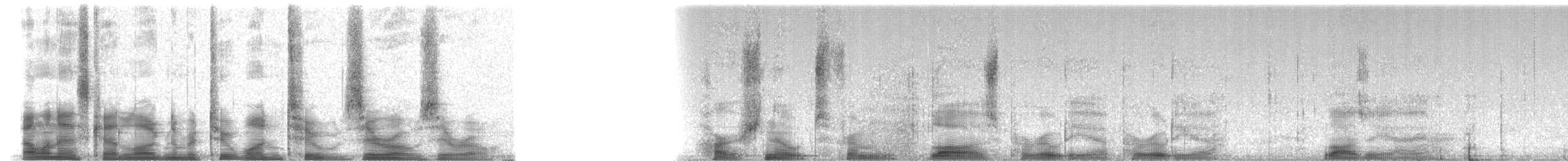 hornparadisfugl - ML21200