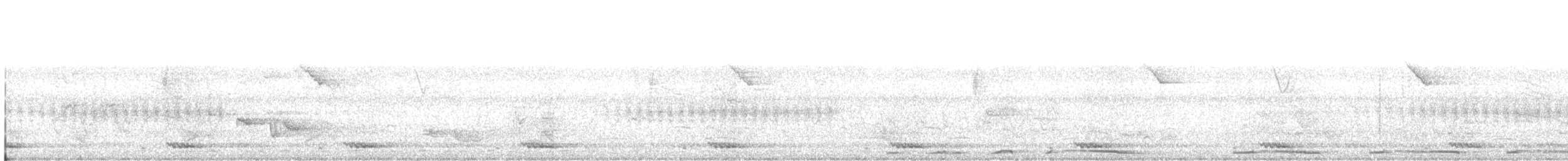 White-cheeked Barbet - ML212015111