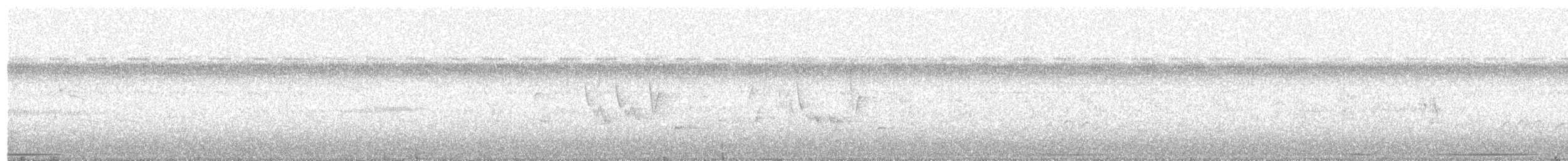 holub bledočelý - ML212048361