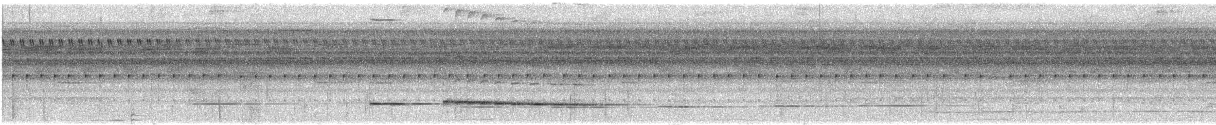 Graubrust-Ameisendrossel - ML212066511