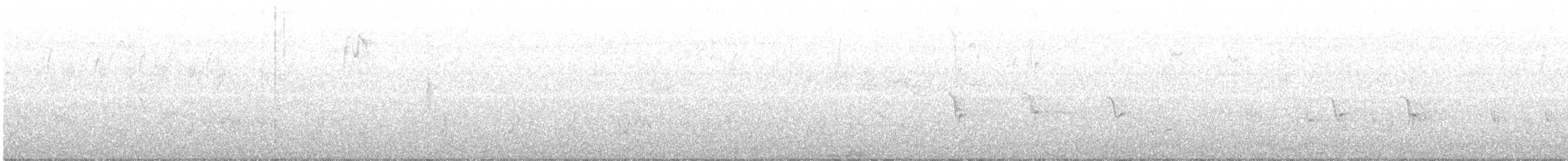 Slender-billed Starling - ML212071251