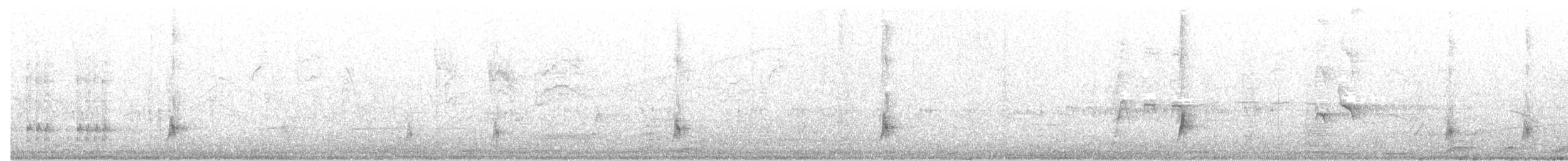 brunstenktyrann (cooperi gr.) - ML212088231