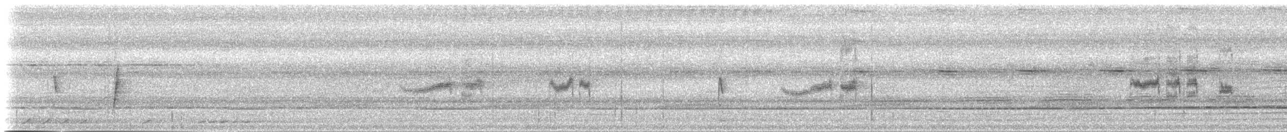 Gray-headed Babbler - ML212093
