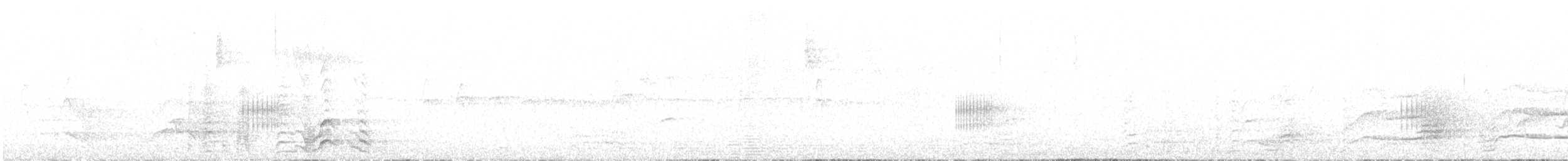 kakadu černý - ML212103691