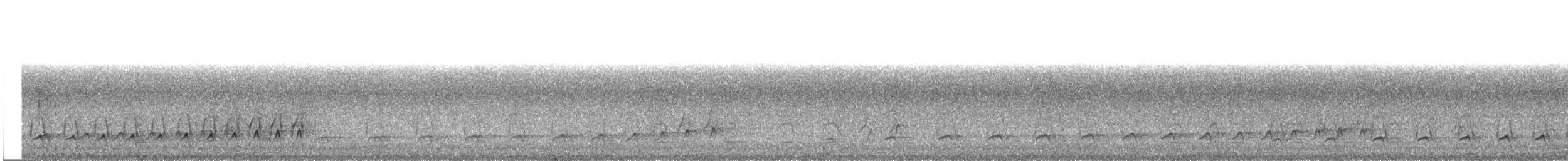 Black-crested Antshrike - ML212117871