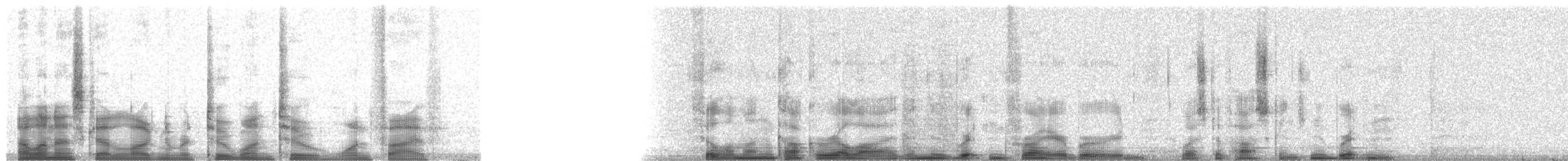 Melanesien-Lederkopf - ML21215