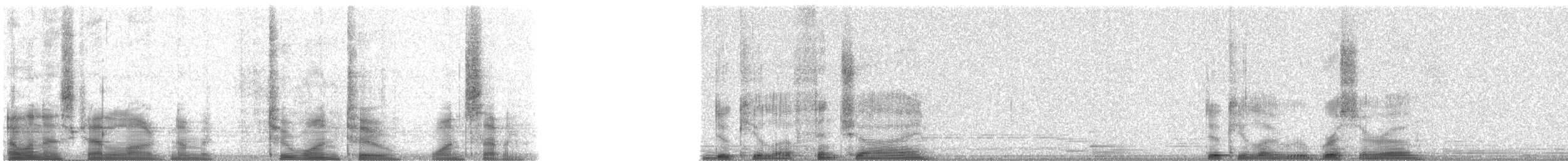 Carpophage de Finsch - ML21217