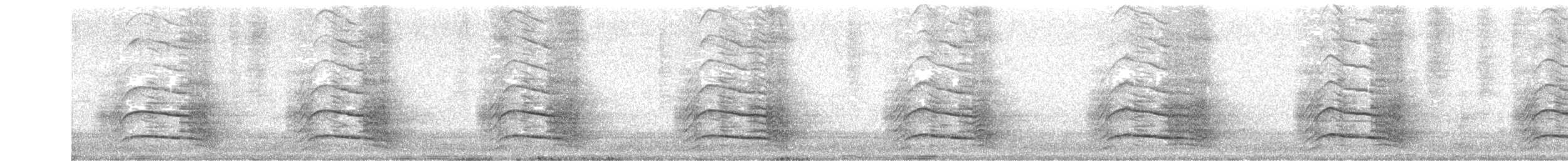 キイロオクロオウム - ML212186321