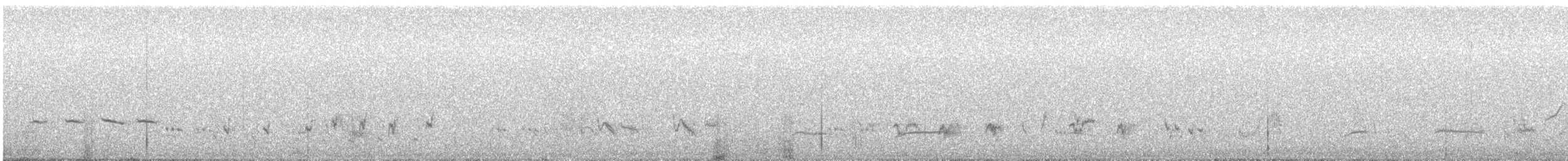 Crissal Thrasher - ML212206801
