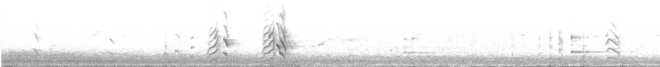 Попугай Крамера - ML212228181