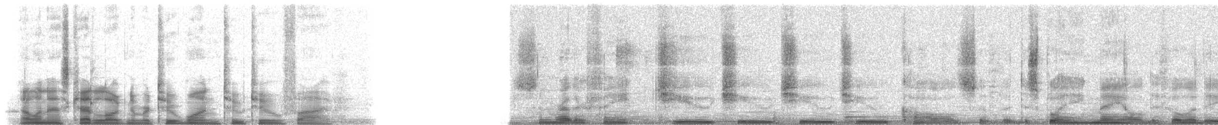 Sichelschwanz-Paradiesvogel - ML21225