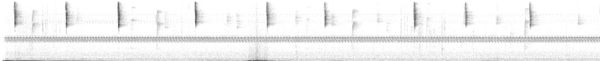 Schwarzbart-Buschammer - ML212299