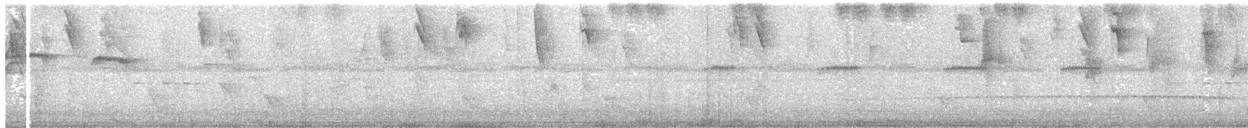 Пилоклювый колибри-отшельник - ML212306551