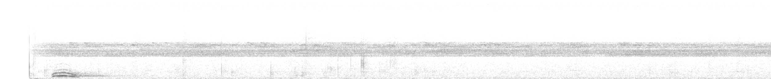 puštík černobílý - ML212320621