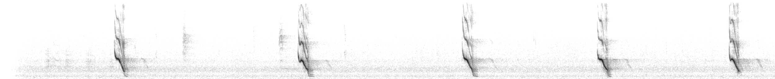 Plush-crested Jay - ML212352