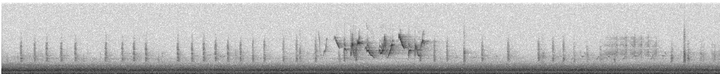 nordgulstrupe - ML212429781