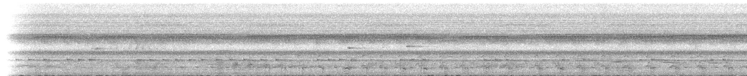 svarthornfugl - ML212431