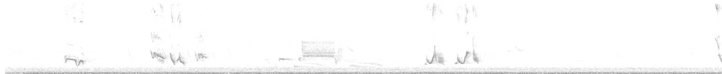 Тремблер прямодзьобий - ML212441151