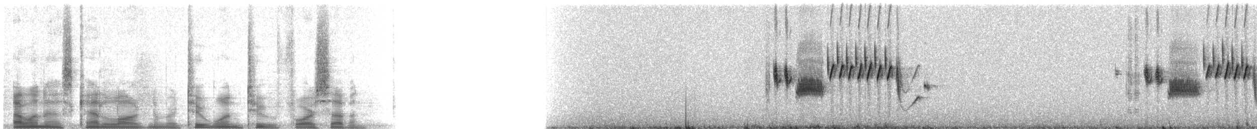 Schwarzkehlammer - ML21247
