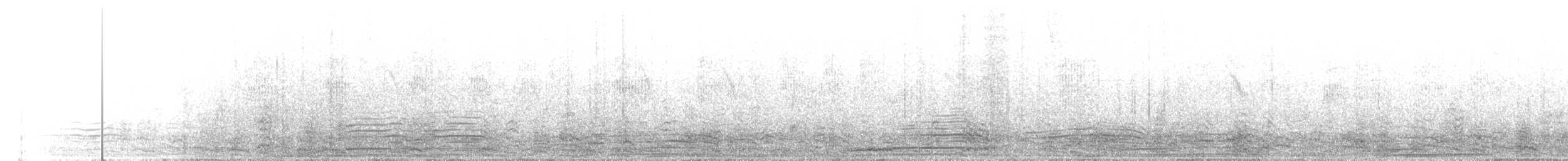 pelikán bílý - ML212488961