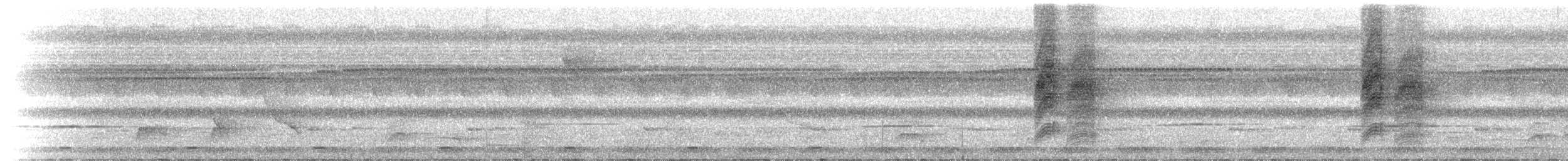 アカハラサンコウチョウ（tricolor／neumanni） - ML212496