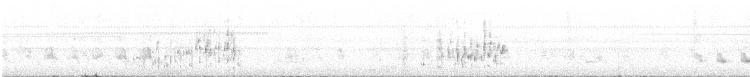 Troglodyte des marais - ML212540871