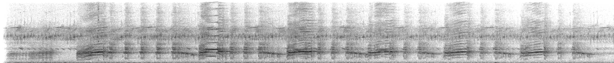 Schuppenfrankolin - ML212623