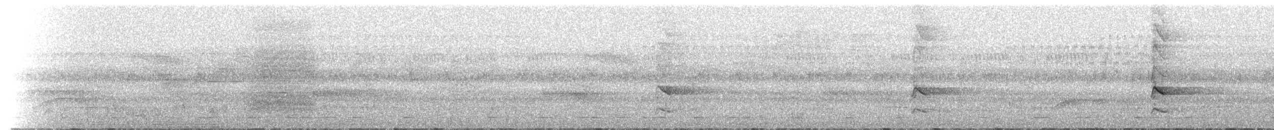 Buztanikara argia - ML212673