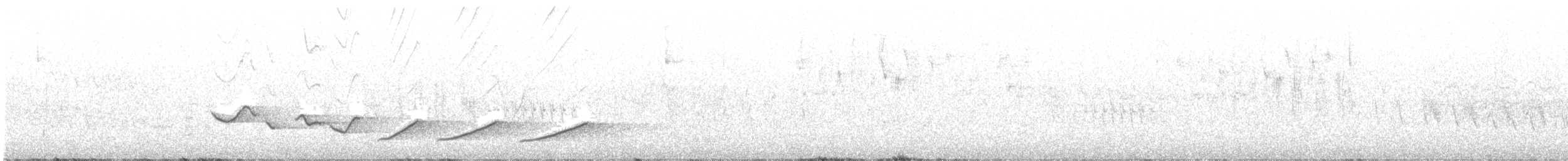 Black-crowned Tchagra - ML212674941