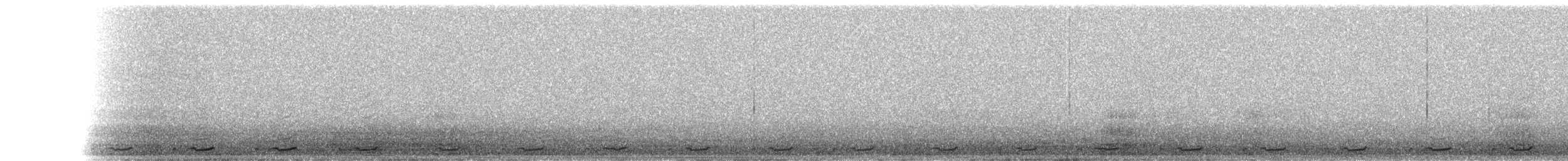 Серогрудый зобатый бегунок - ML212684311