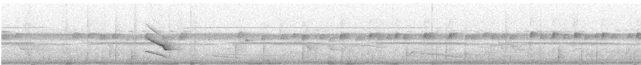 Band-tailed Manakin - ML212715561