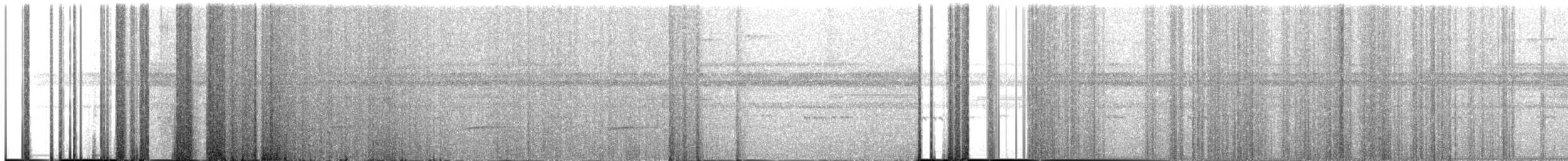 bruntreløper (brigidai) (okerhaketreløper) - ML212716831