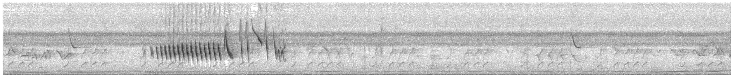 Lined Seedeater - ML212721311