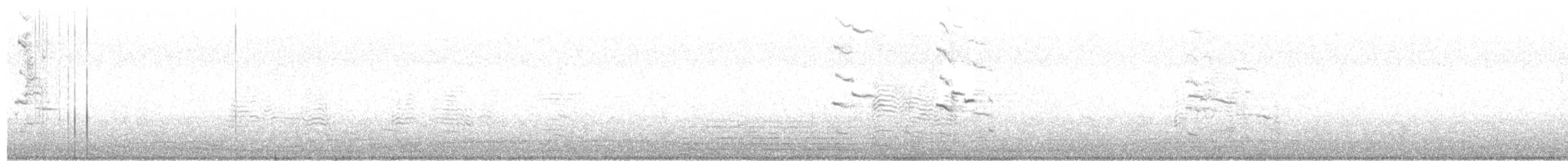 Делавэрская чайка - ML212744331
