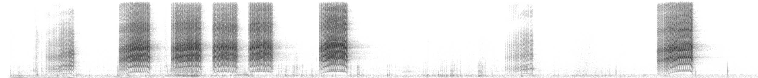 mníšek šedý [skupina monachus] - ML212802