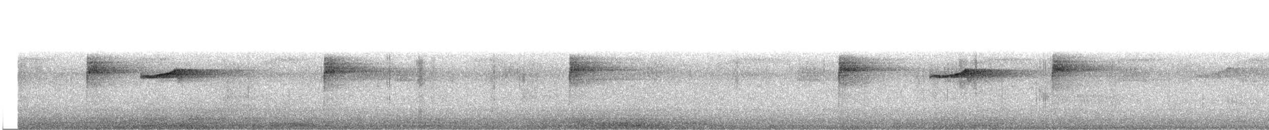 Northern Waterthrush - ML212807261