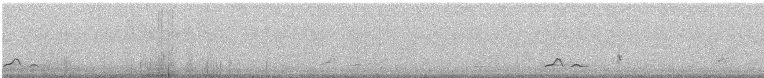 tinama skvrnitokrká - ML212836