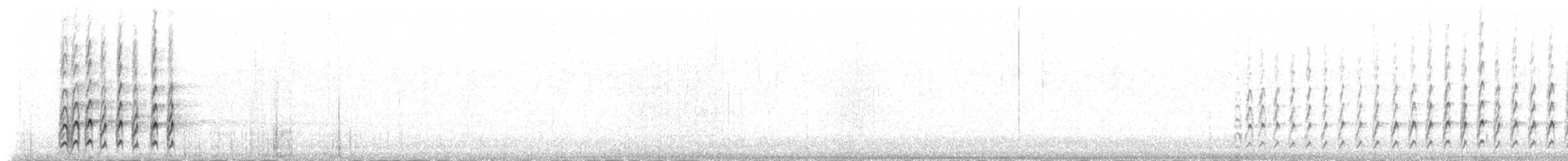 Busard bariolé - ML212855