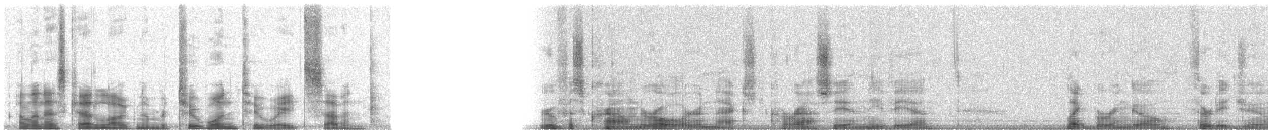 Purple Roller - ML21287